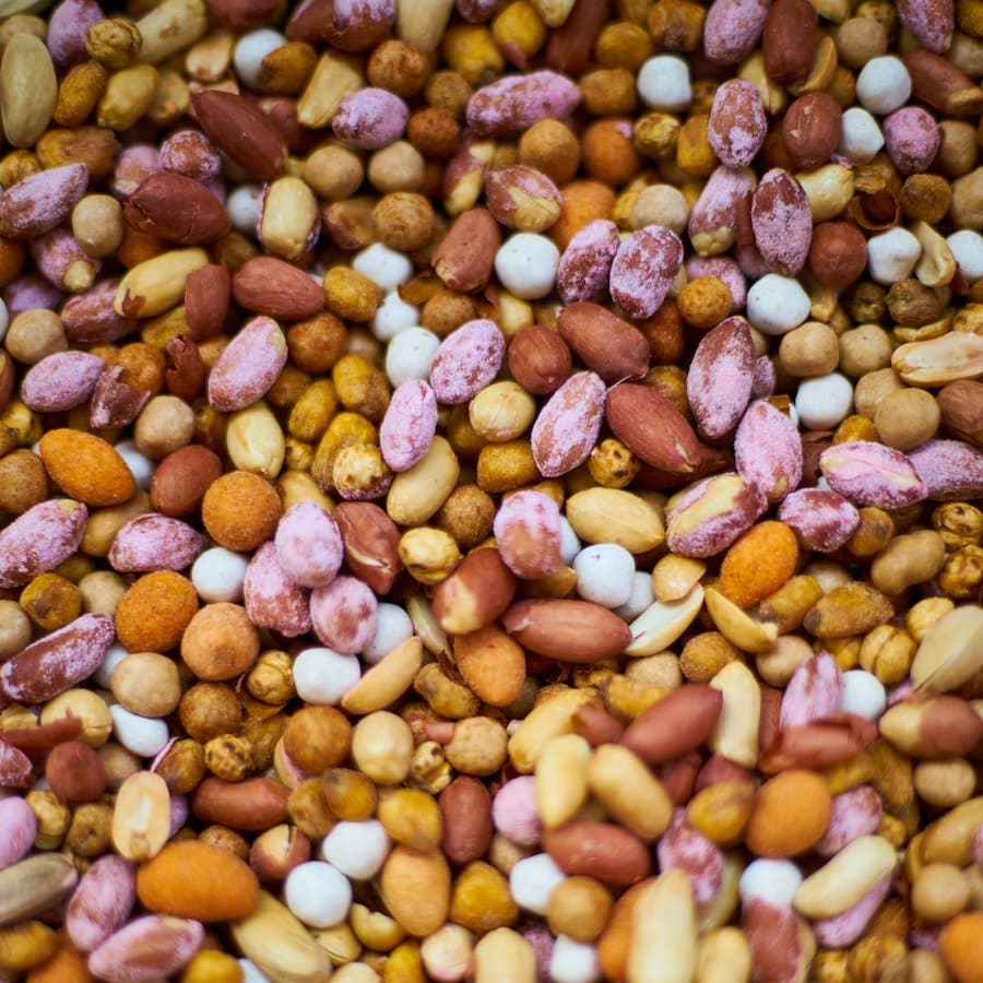 Roasted Mixed Nuts Bulk Pack